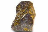 Polished Free-Standing Morgan Hill Poppy Jasper - California #308152-1